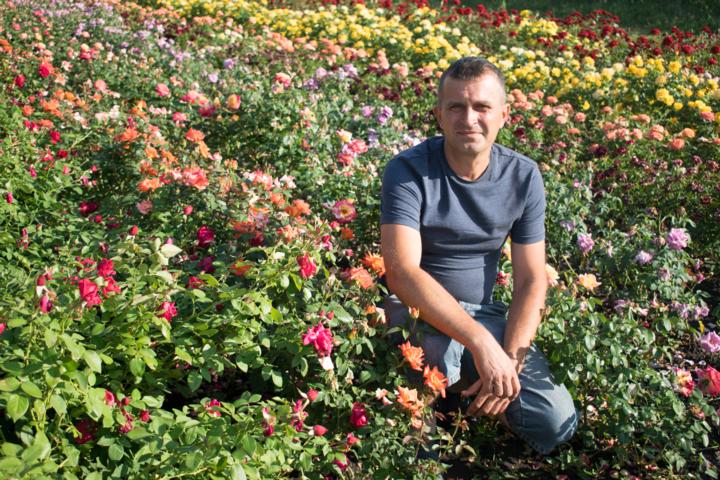 Саджанці Дніпро та область, Новомосковський район